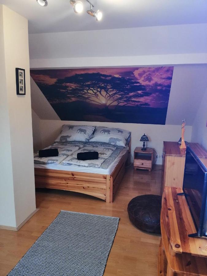 Elza Apartman Makó Εξωτερικό φωτογραφία